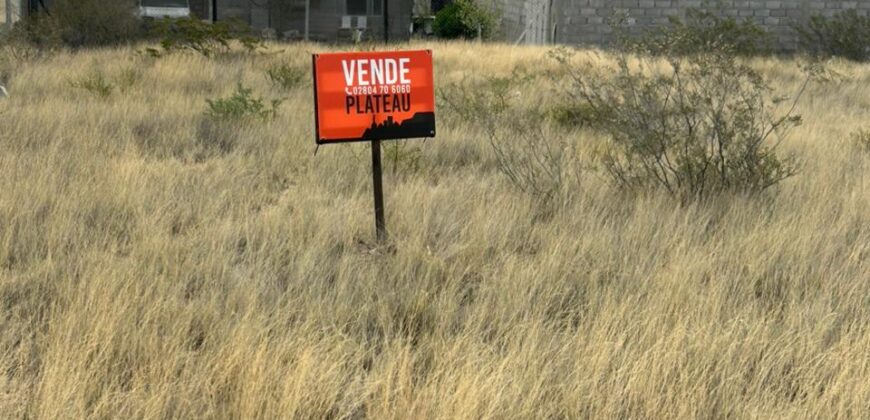 Lote