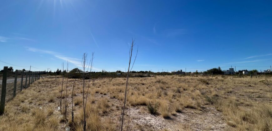 Lote