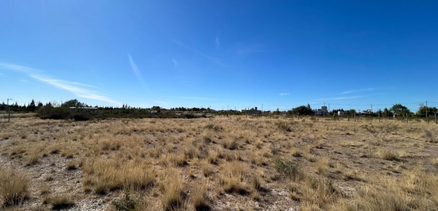 Lote