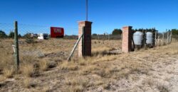 Lote