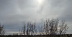 Chacra