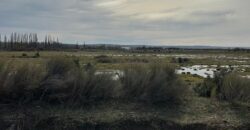Chacra