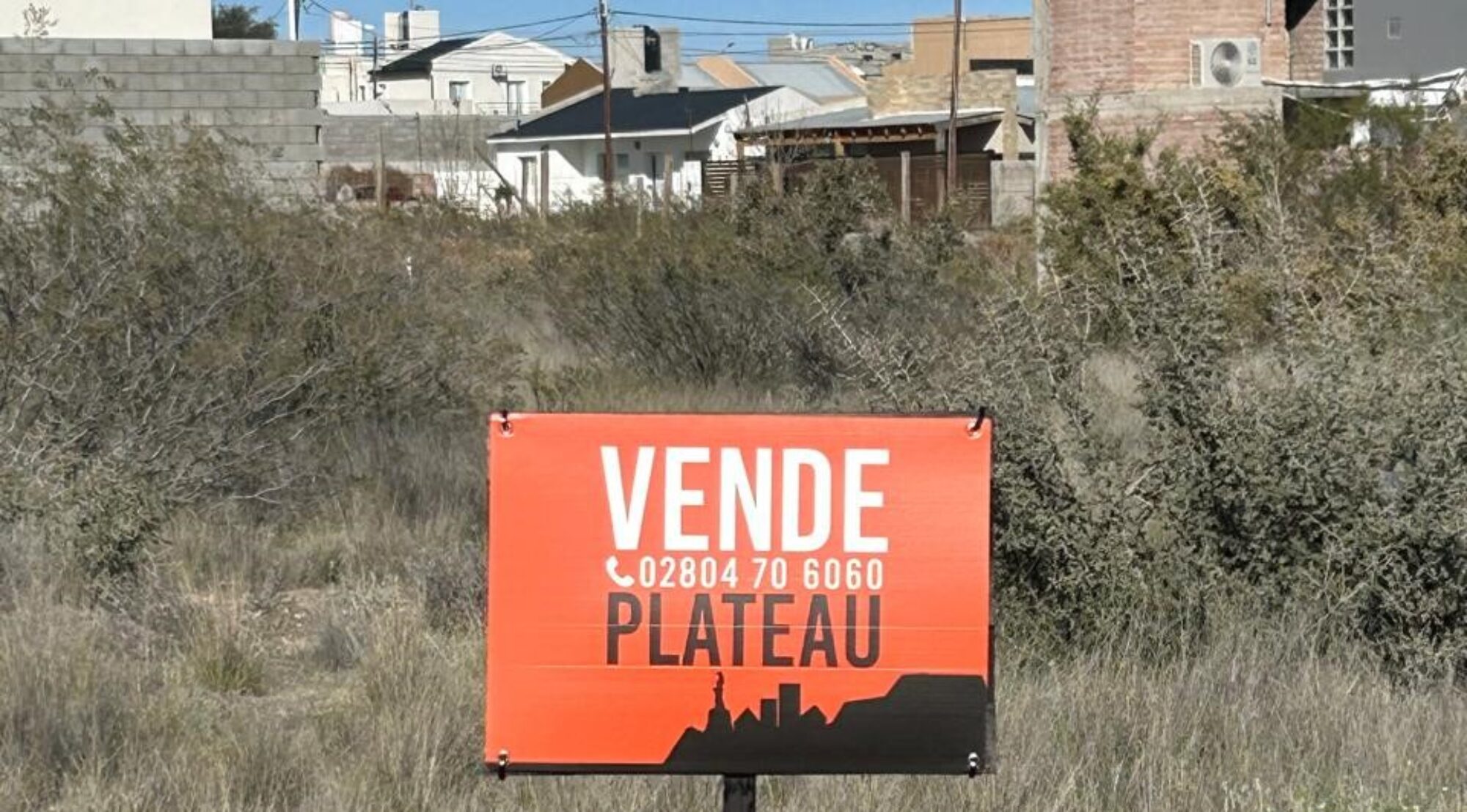 Lote
