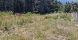 Lote en Venta en Epuyén