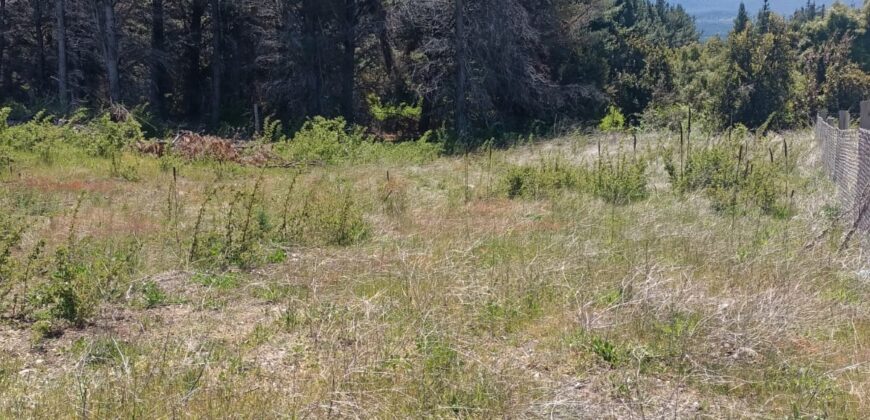 Lote en Venta en Epuyén